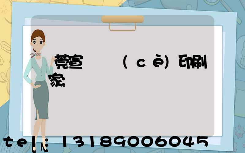 東莞宣傳畫冊(cè)印刷廠家