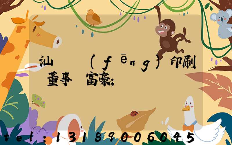 汕頭東風(fēng)印刷廠董事長富豪